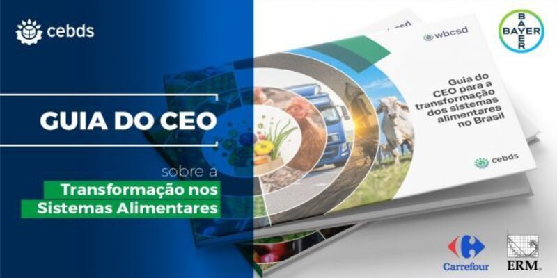 Guia do CEO