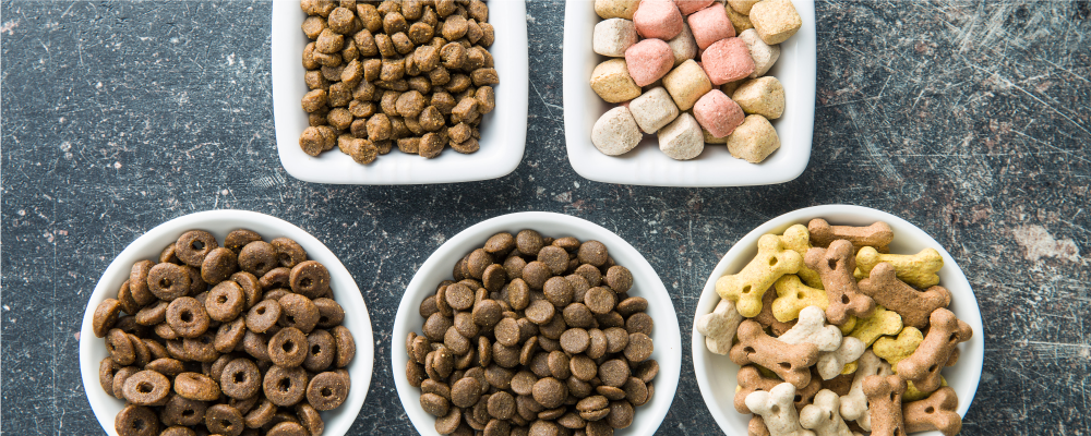 Concepta Ingredients Apresenta Sua Linha de Produtos Pet Food na FIAI