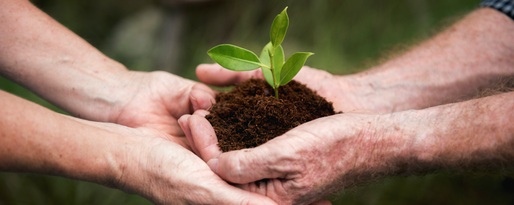 O Papel da Indústria Alimentícia na Conservação da Sociobiodiversidade