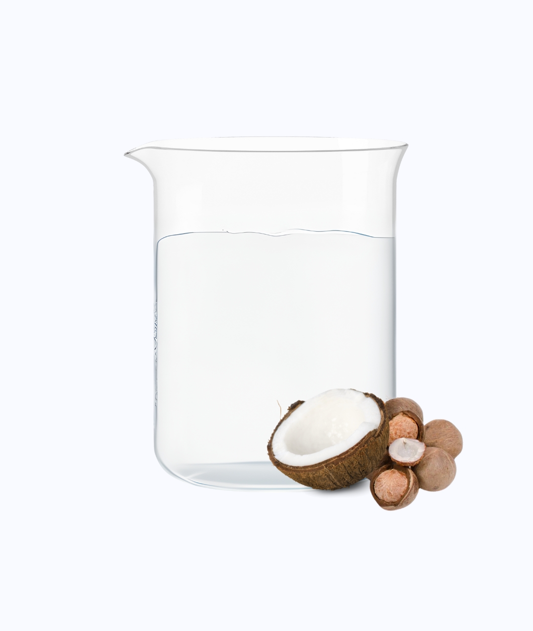 Coconut MCT: Medium Chain Triglyceride (MCT)